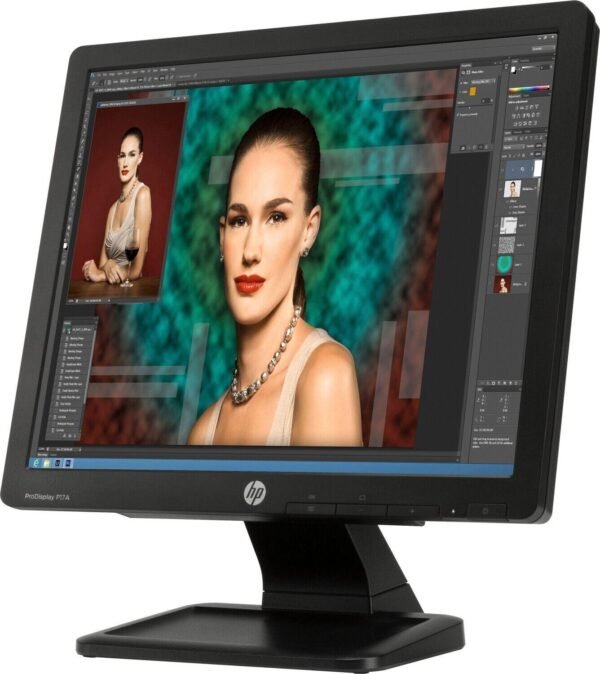 HP Pro Display LED Monitor